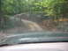 Copy of Dawson Forrest 029.jpg